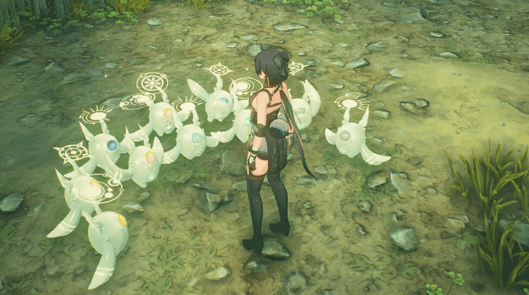 Accompanying Soliskin