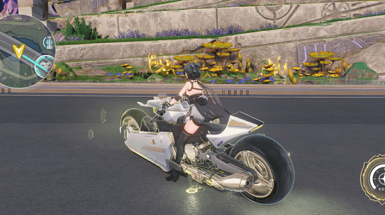 バイクのパイロットモード