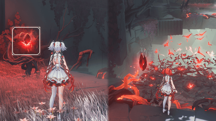 Graines et Chemins de Fleurs