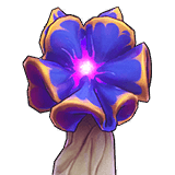 トゲバラタケ（幼体）