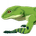 Green Pit Lizard