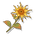 Luminous Calendula