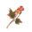 Dusk Honeypot