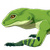 Green Pit Lizard