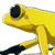 Goldenback Frog