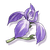 Bamboo Iris