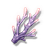 紫珊瑚