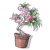 樱花盆景