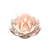 Sprouting Thousandfold Petals (Flames)