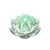 Sprouting Thousandfold Petals (Bloom)