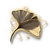 Gilded Ginkgo
